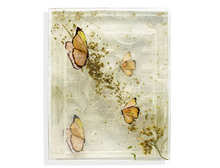 Load image into Gallery viewer, Butterfly 1 | Mini Lash Tray
